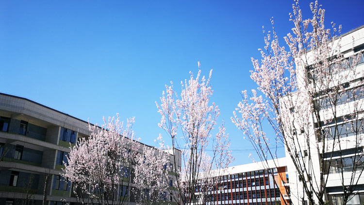 黔南民族幼儿师范高等专科学校