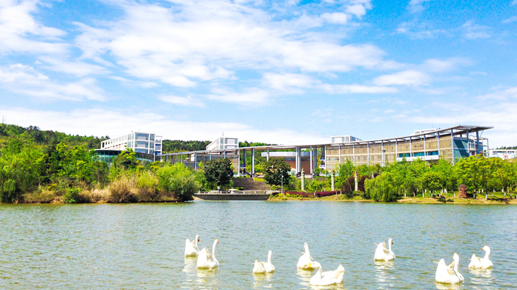 西南科技大学
