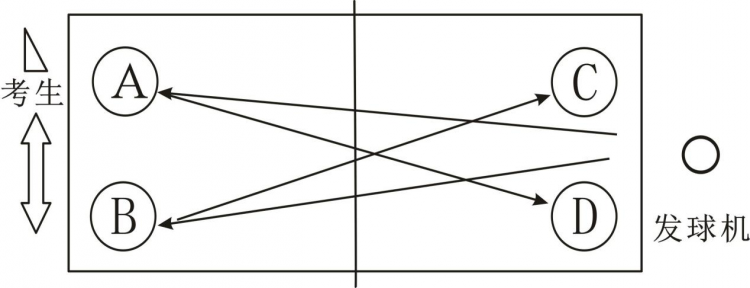 core_1548208849_8948.png