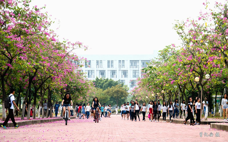 广东科学技术职业学院各专业在四川计划招生人数_2025年更新主图