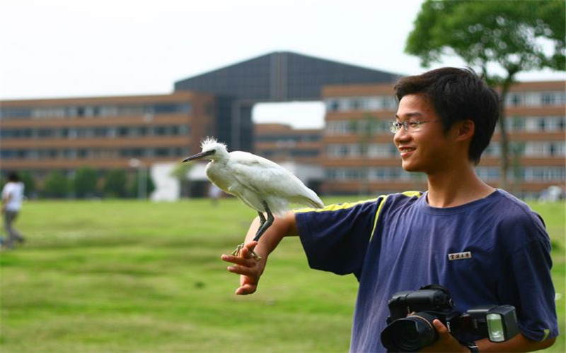 宁波大学-宁波大学白鹭