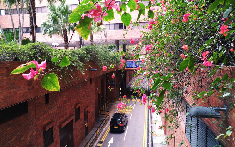 香港理工大学-校内景