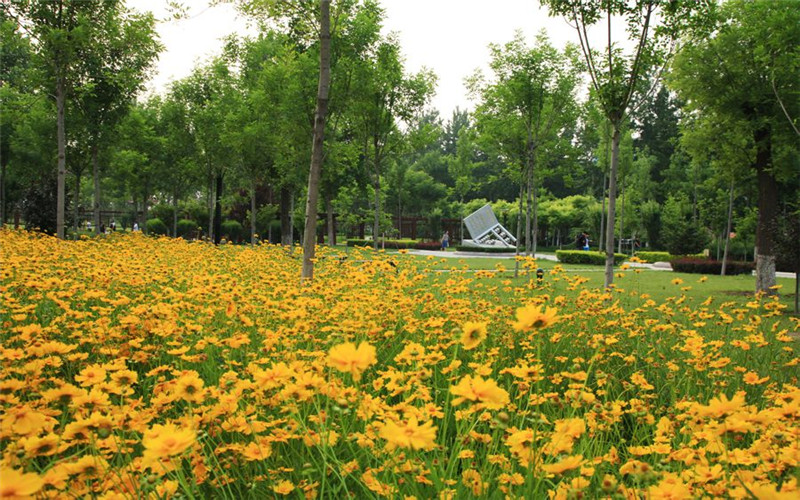 山东经贸职业学亚博取款快速安全园风景