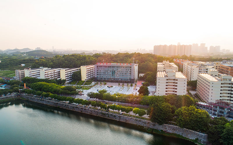 香港开设园艺教育专业的大学排名_2024年更新