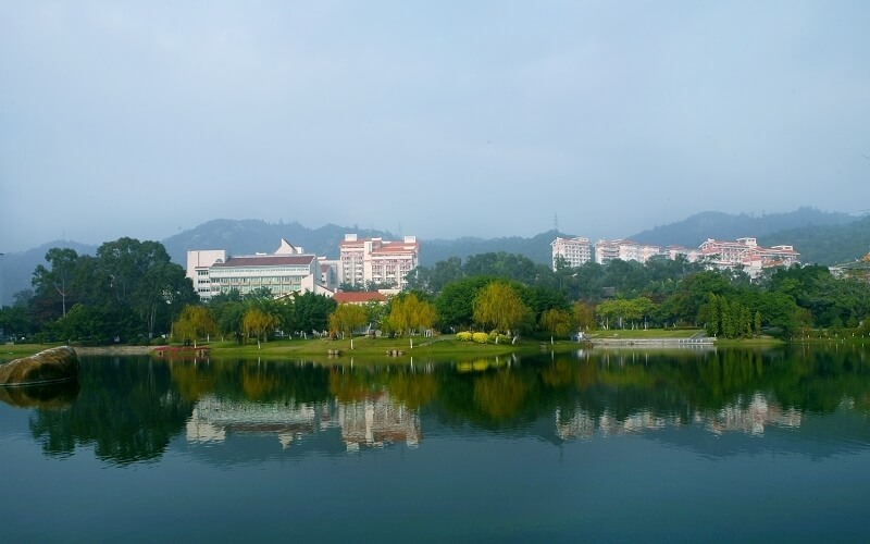 厦门大学-芙蓉湖