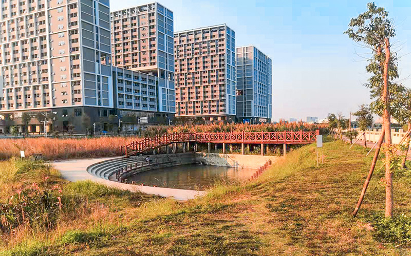 深圳技术大学-宿舍