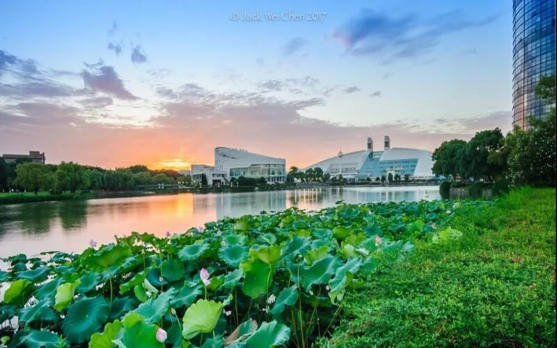 浙江大学-湖畔