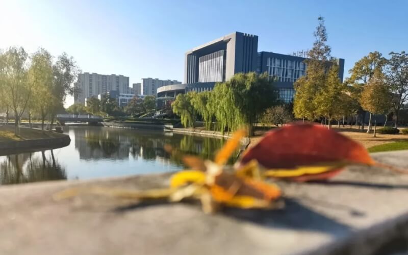 盐城师范学院-秋色