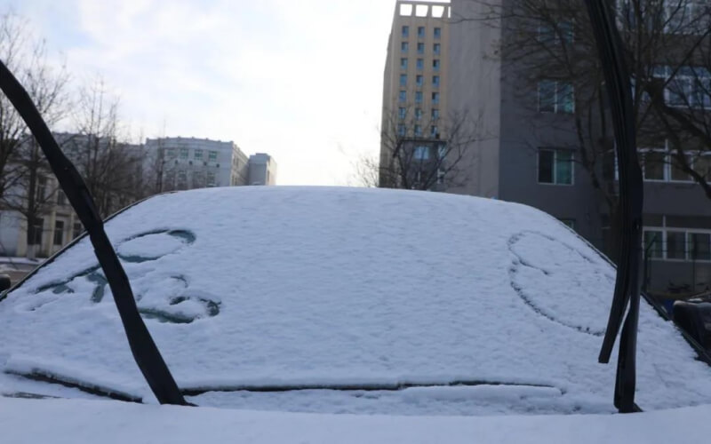 辽宁石油化工大学-冬雪