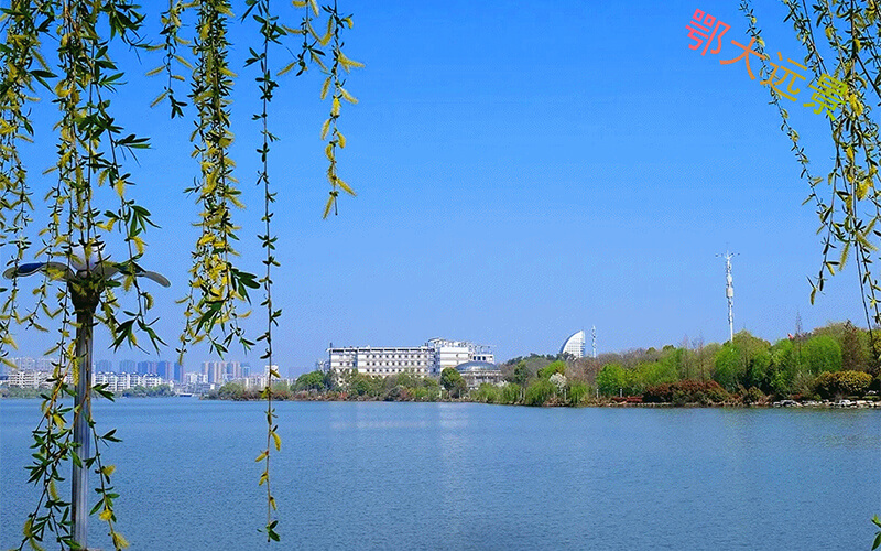 鄂州职业大学-图片4