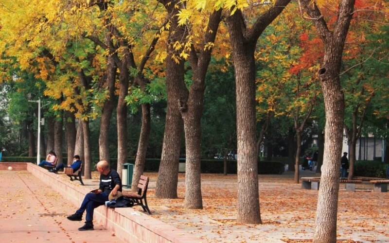 北京语言大学-一角