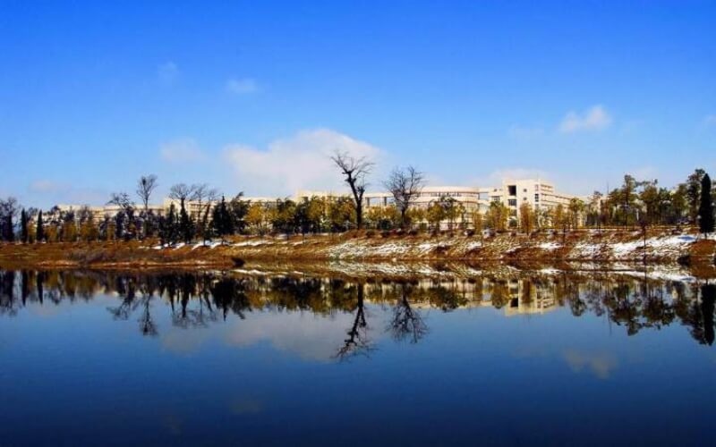 曲靖师范学院-4