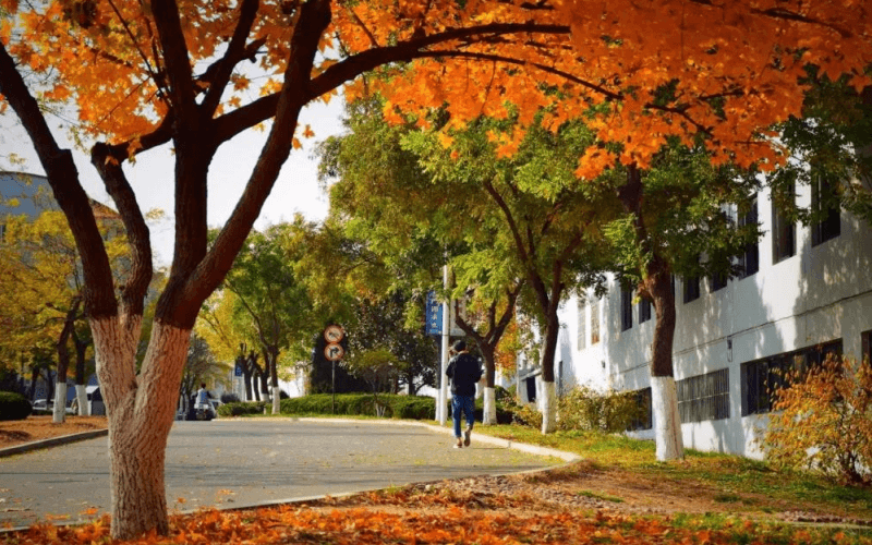 青岛工学院各专业在山东录取分数线_2025年更新主图