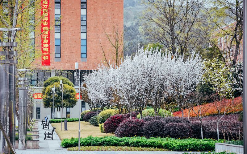 西南交通大学希望学院-校园一角