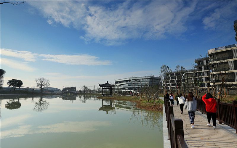 浙江师范大学行知学院-校园风光1