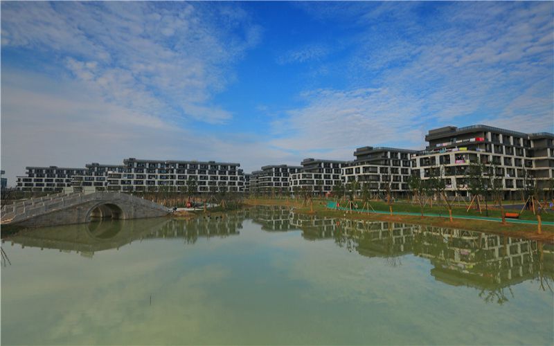 浙江师范大学行知学院-校园风光2