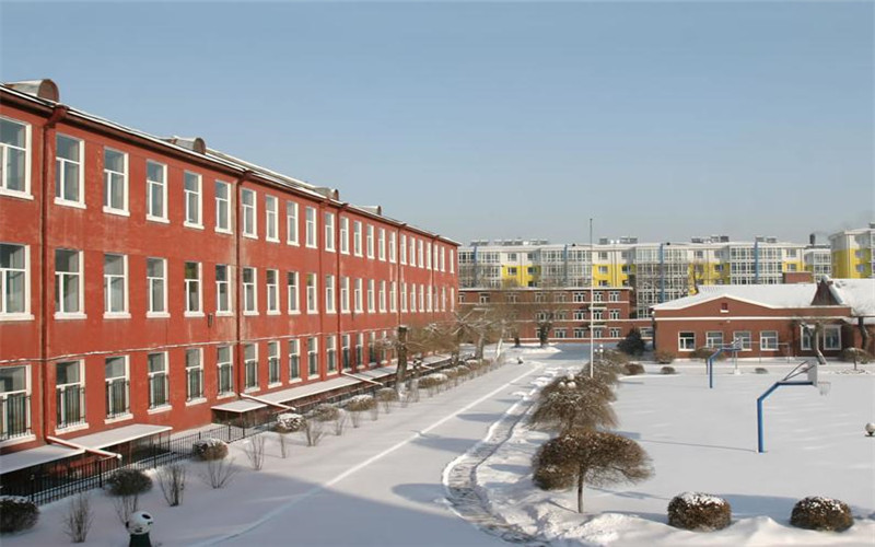 黑龙江艺术职业学院-黑龙江艺术职业学院--校园雪景