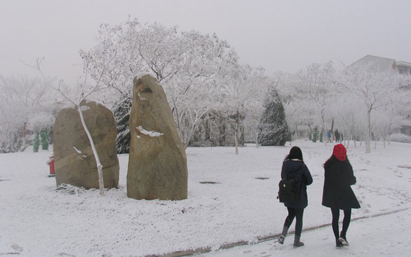 南开大学滨海学院各专业在北京计划招生人数_2025年更新主图