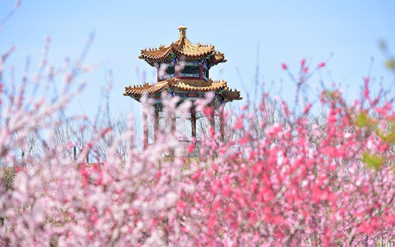 天津中医药大学-校园景色