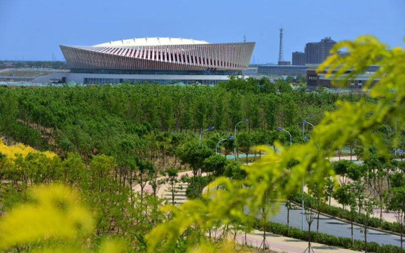 天津中医药大学-魅力天中2