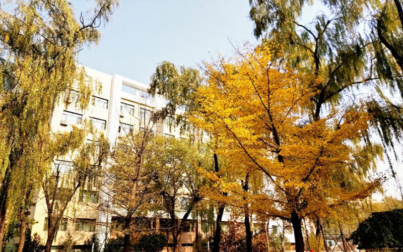 中北大学-秋日树林