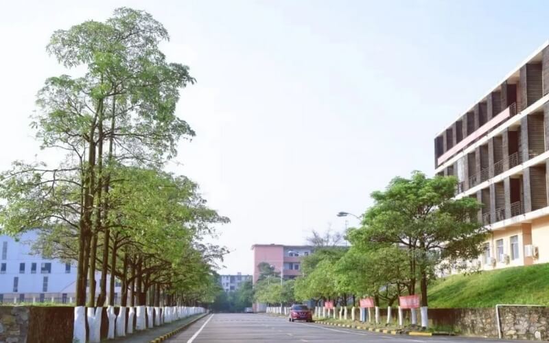 2025年四川文科381分能报什么大学