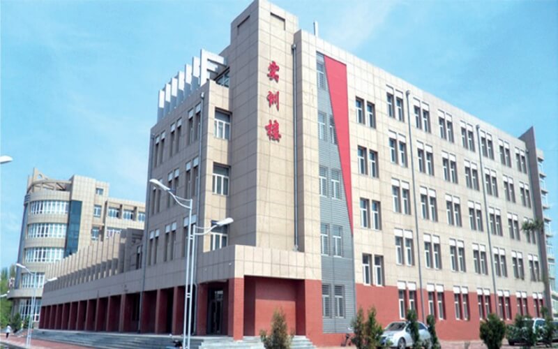 2025年新疆理科381分能报什么大学