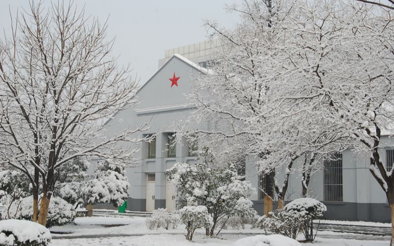 徐州生物工程职业技术学院-校园雪景