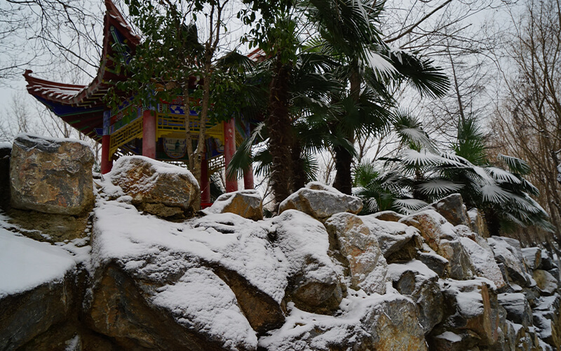 南阳理工学院-静冬雪飘