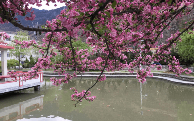 四川民族学院-05-2