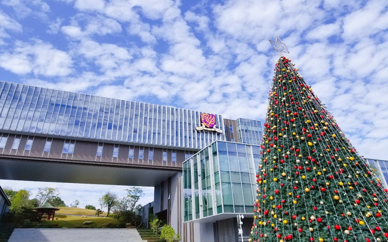 香港中文大学（深圳）-04行政楼和圣诞树