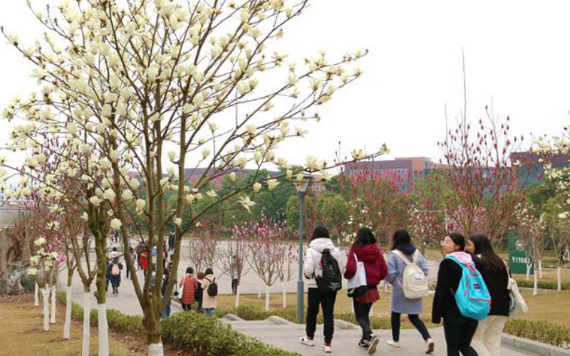 长江师范学院-校园