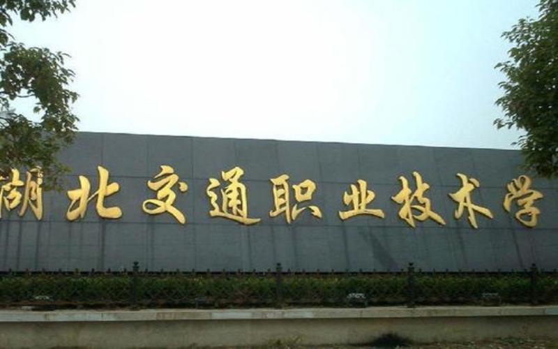 山东开设化学专业的大学排名_2024年更新