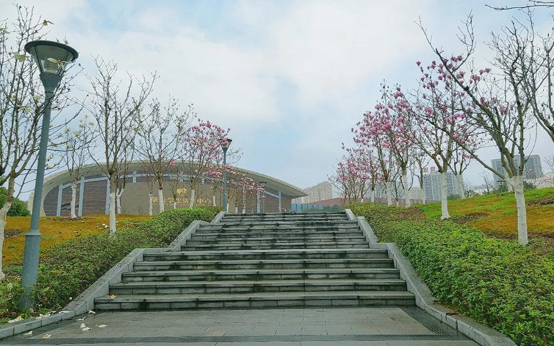 长江师范学院-校园景色4