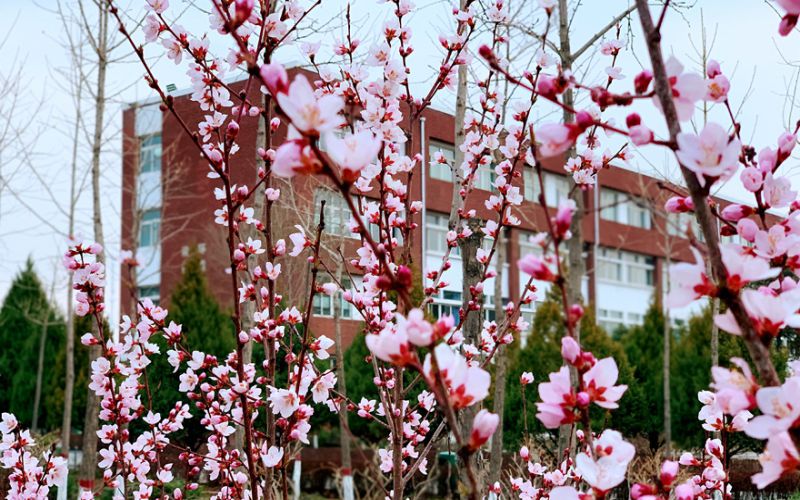 宁夏建设职业技术学院-4