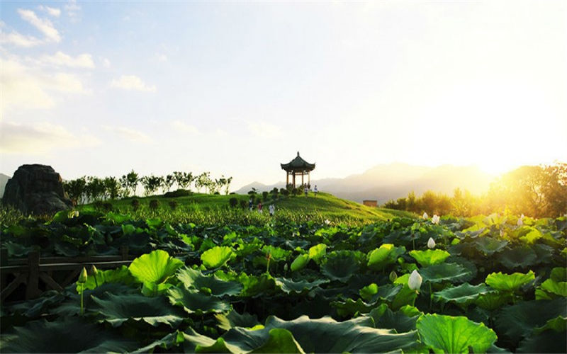 福建中医药大学-校园风光3