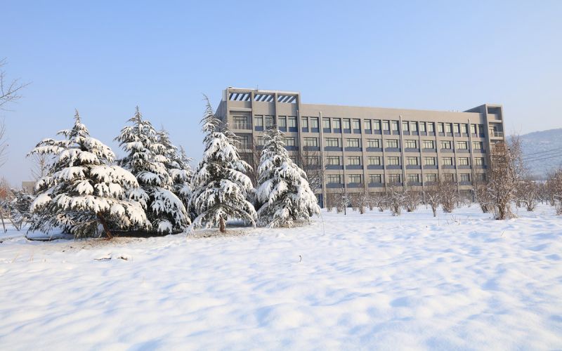 连云港职业技术学院-雪后校园