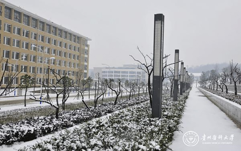 贵州医科大学-冬之校园