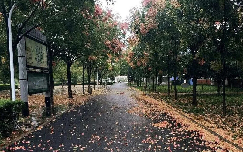 河南工业职业技术学院-绿荫小道