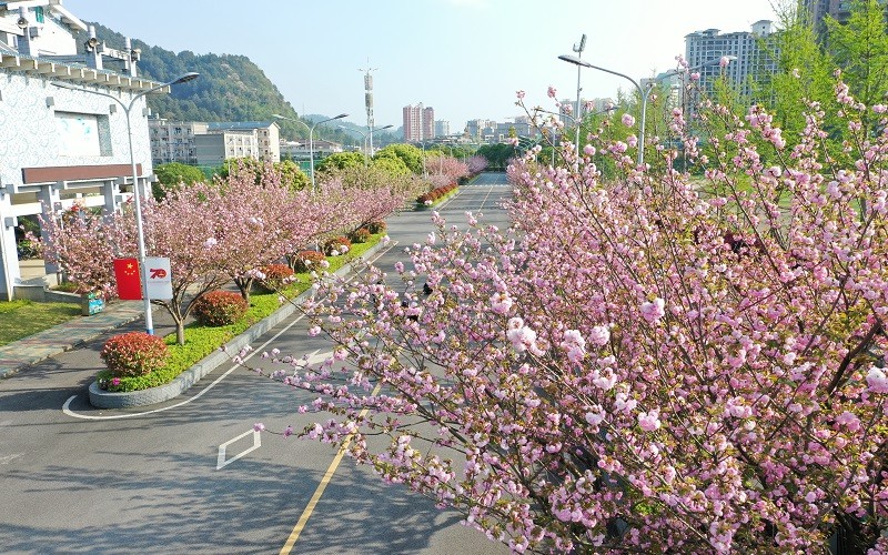 黔南民族师范学院-2