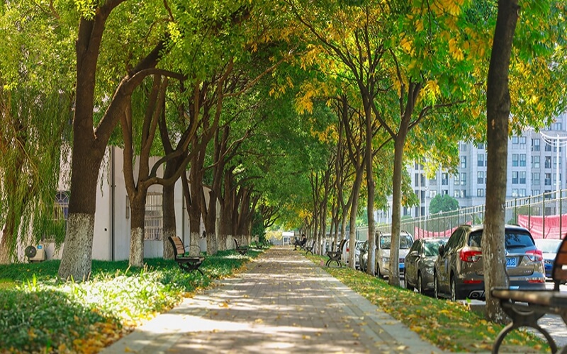 浙江育英职业技术学院-3