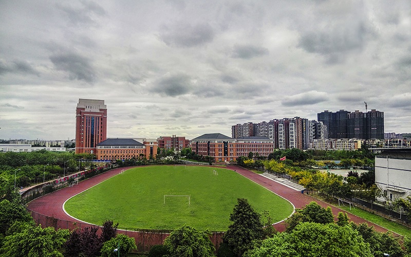 四川文化产业职业学院-10