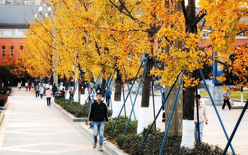 四川文化产业职业学院-7