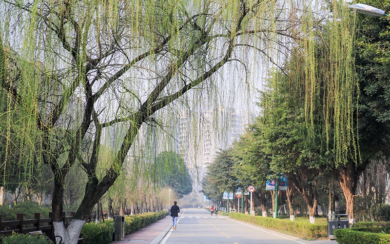 四川文化产业职业学院校园风景