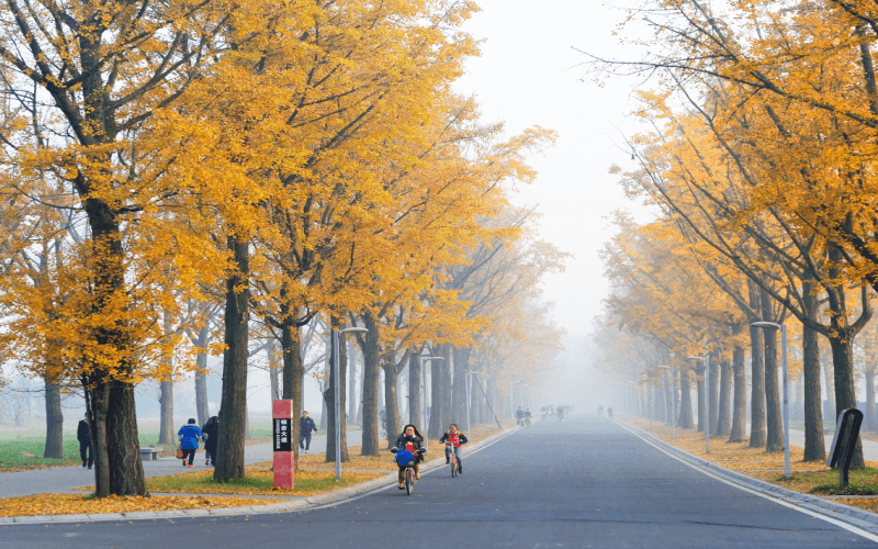 电子科技大学格拉斯哥学院-2