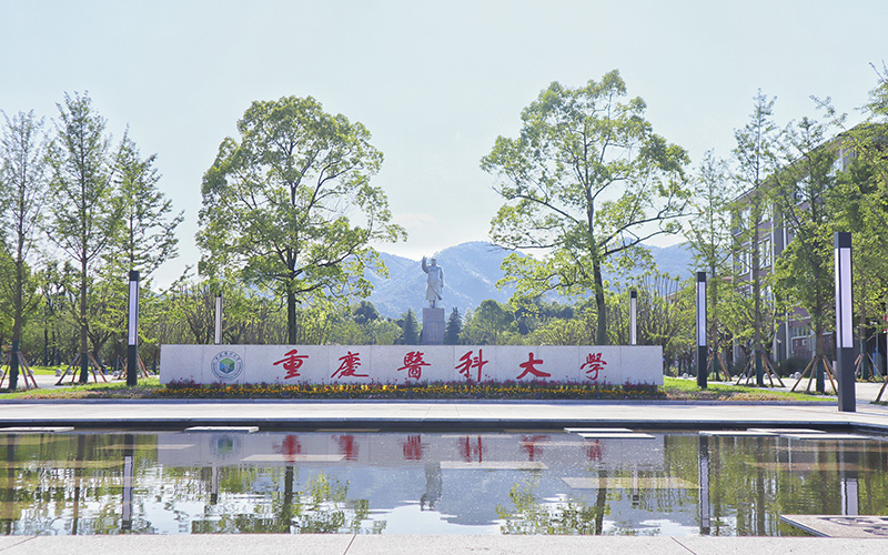 重庆医科大学国际医学院主图