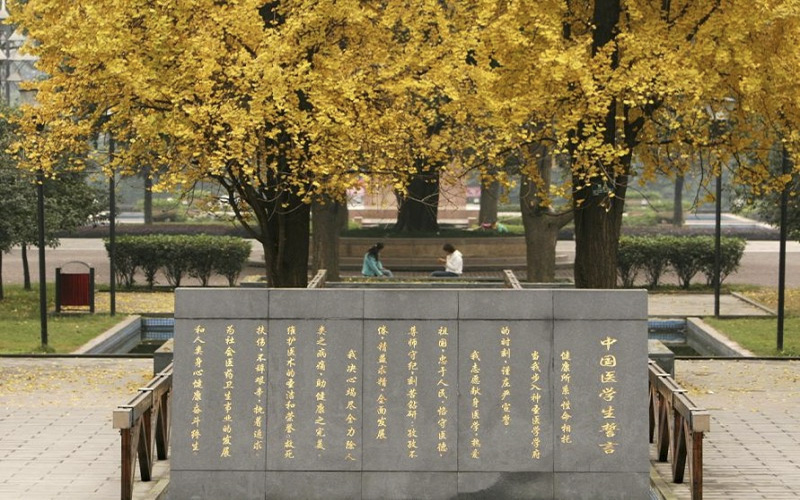 重庆医科大学国际医学院-4