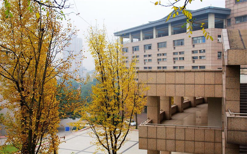 重庆医科大学国际医学院-5