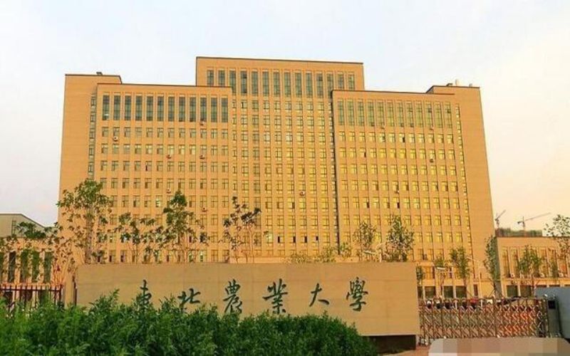 东北农业大学各专业在广东录取分数线_2025年更新主图