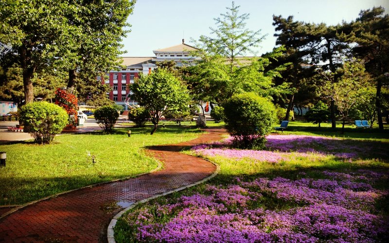 沈阳药科大学-校园风光